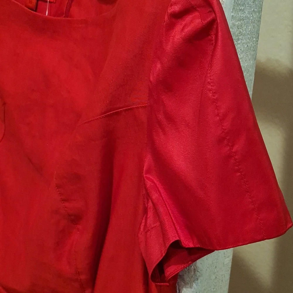 Red Dress - Picture 3 of 4